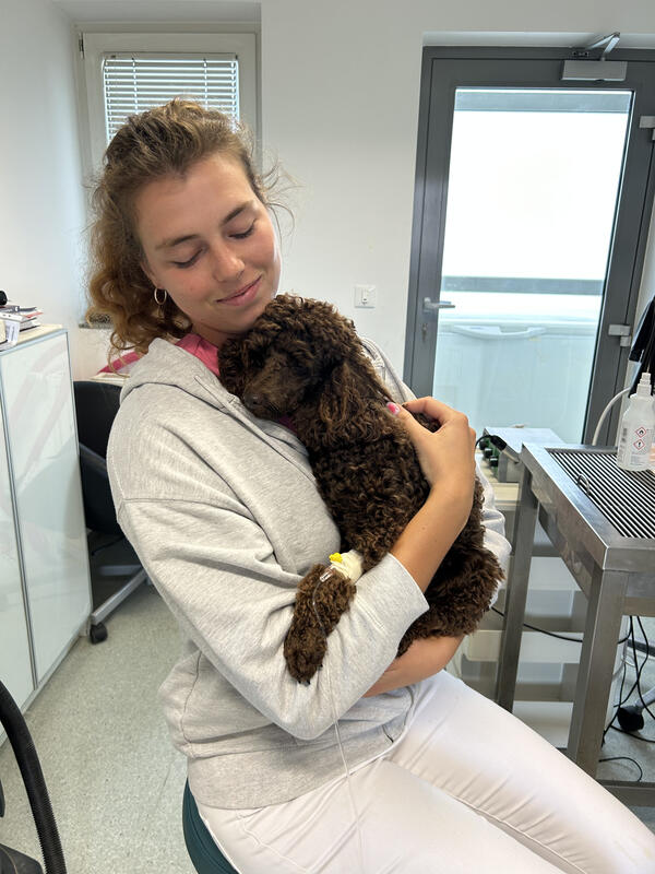 Anja drži kodrastega psa v veterinarski ambulanti